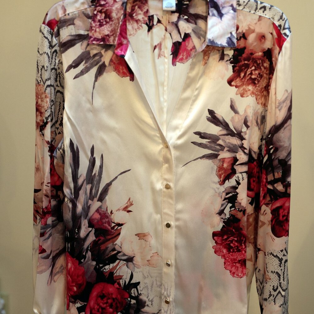 Cache silk Blouse